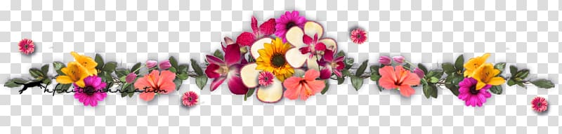 Flower , others transparent background PNG clipart