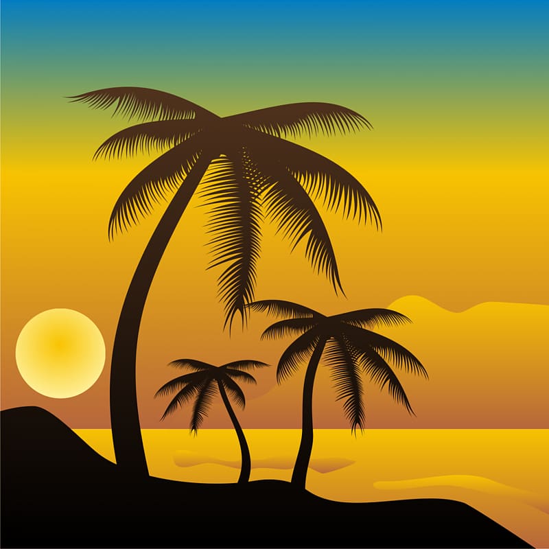 Beach Arecaceae Drawing , Beaches transparent background PNG clipart