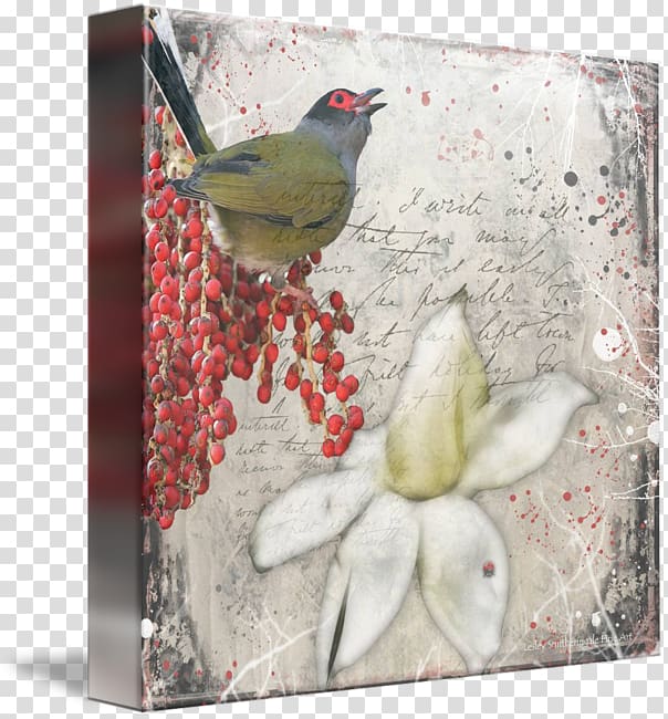 Finches Gallery wrap Australasian figbird Canvas, Bird transparent background PNG clipart