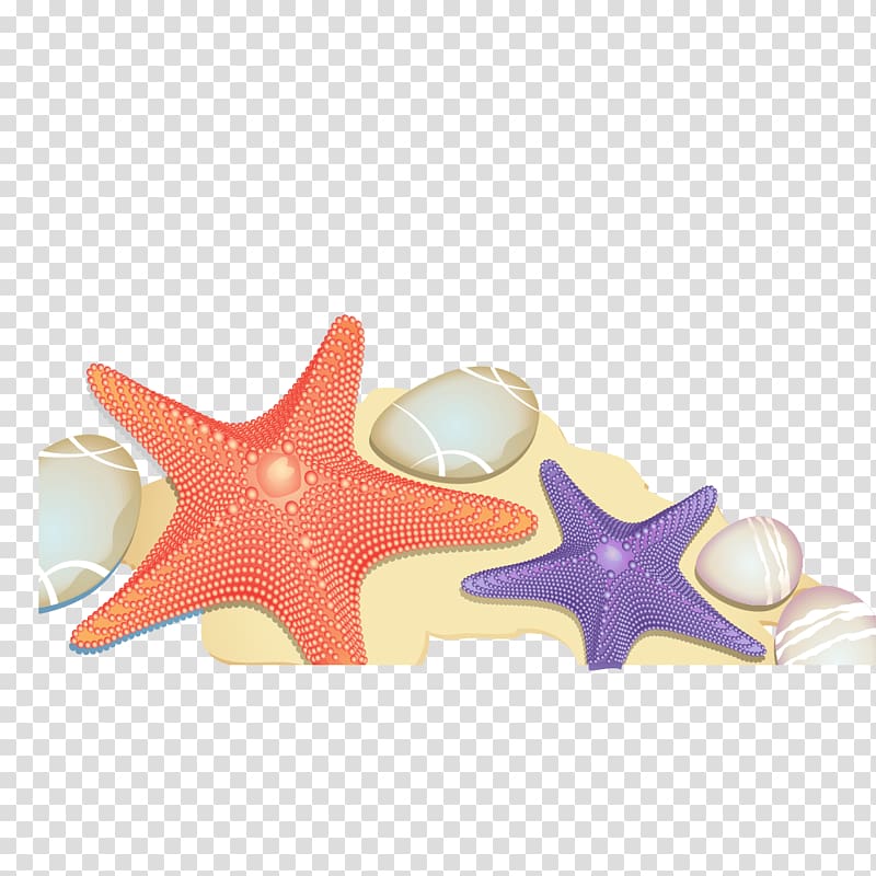 Starfish Euclidean Sand Beach, Beach sand starfish transparent background PNG clipart