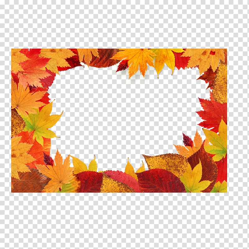 Autumn leaf color , Maple Leaf transparent background PNG clipart