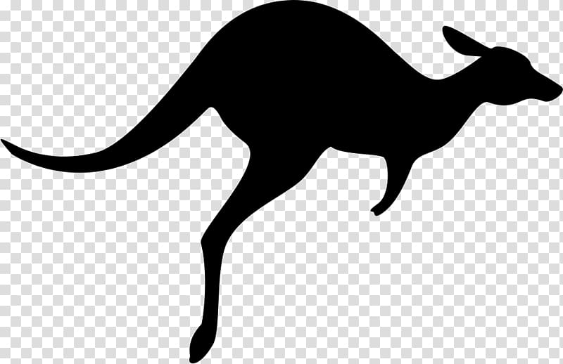 Australia Macropodidae Kangaroo Computer Icons Wallaby, kangaroo transparent background PNG clipart