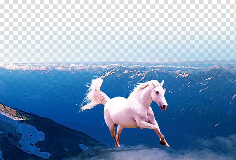 Horse Gallop , Dream Horse transparent background PNG clipart