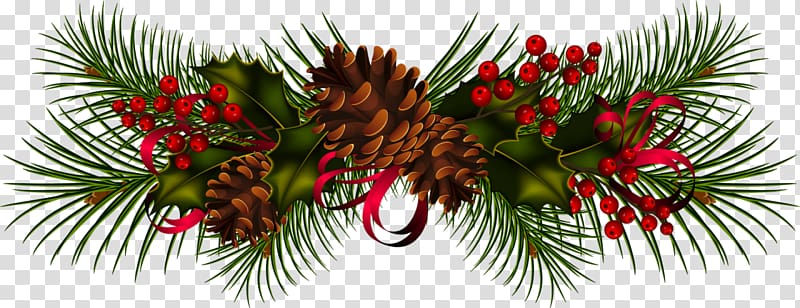 Conifer cone Christmas Pine , christmas transparent background PNG clipart