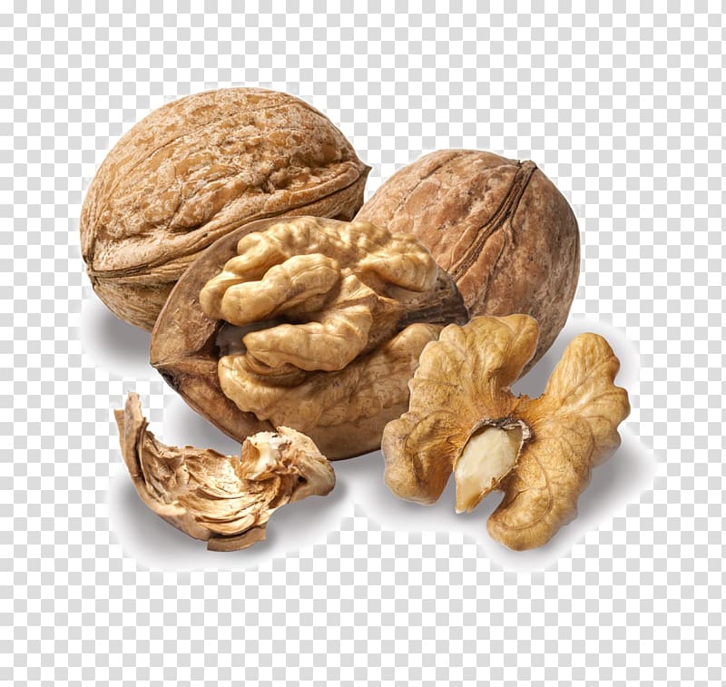 English walnut Pecan, walnut transparent background PNG clipart