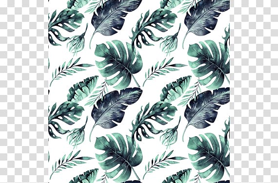 Leaf Swiss cheese plant Watercolor painting Tropics Textile, Leaf transparent background PNG clipart