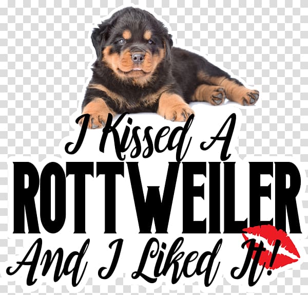 Rottweiler Dog breed Puppy Kitten Snout, puppy transparent background PNG clipart