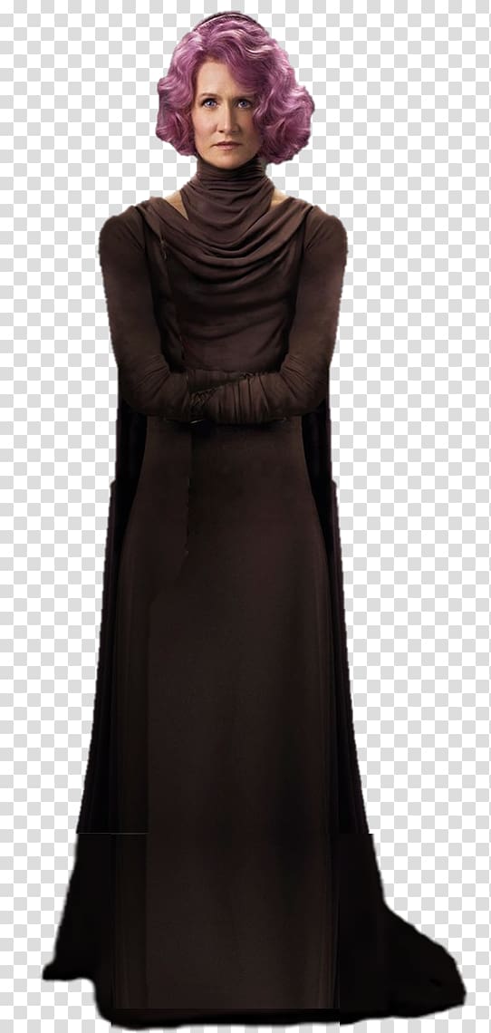 Laura Dern Star Wars: The Last Jedi Vice Admiral Holdo Kylo Ren, Last kings transparent background PNG clipart