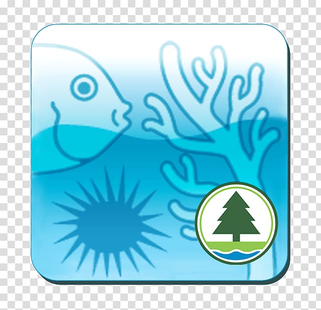 Reef Check Coral reef 5.5 Conservation, Marine Invertebrates transparent background PNG clipart