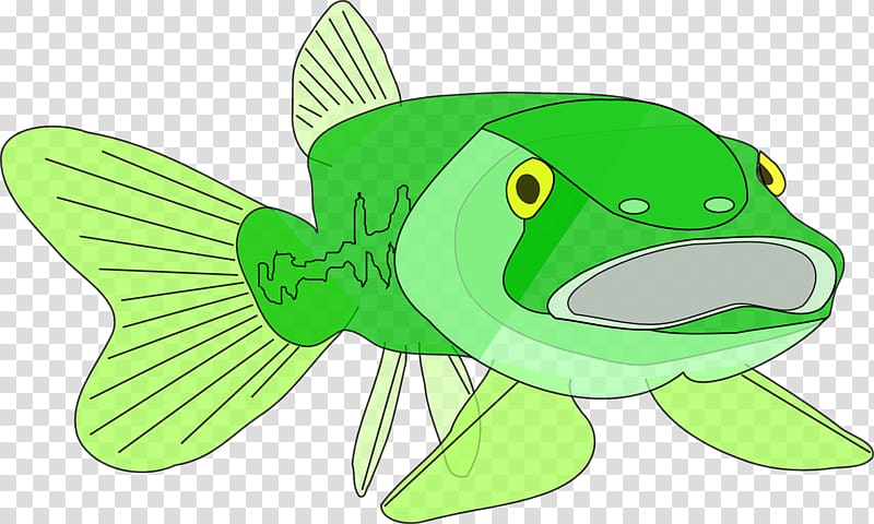 Largemouth bass Fish , fish transparent background PNG clipart