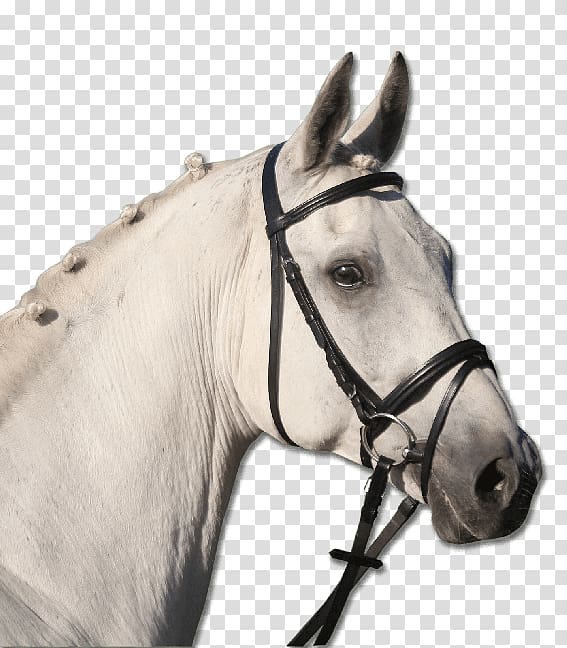 Pony Bridle Cob Equestrian Horse Tack, others transparent background PNG clipart
