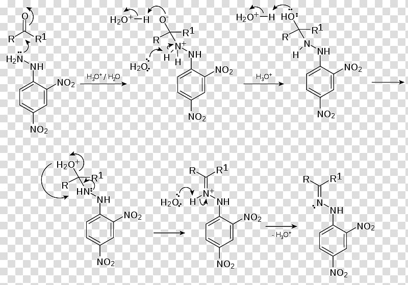 2,4-Dinitrophenylhydrazine Chemical reaction Reaction mechanism Aldehyde Carbonyl group, Mechanism transparent background PNG clipart