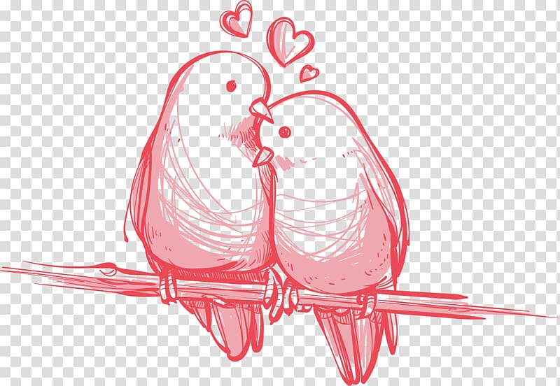 Bird Valentine's Day Wedding Gift , Love birds hand-painted, two bird perched on tree branch painting transparent background PNG clipart