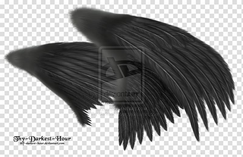 Angel wing Feather , feather transparent background PNG clipart