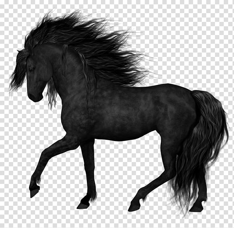 Horse Black , Black Horse , black horse illustration transparent background PNG clipart