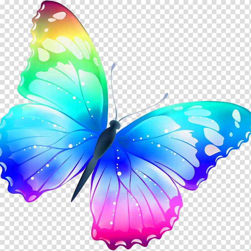 flying butterfly PNG image transparent image download, size: 2900x2755px