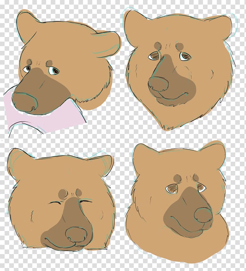 Dog Teddy bear Snout Cat, Dog transparent background PNG clipart