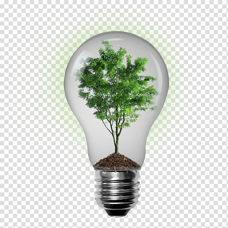 Environmentally friendly Sustainable living Sustainability Natural environment, energy-saving lamps transparent background PNG clipart