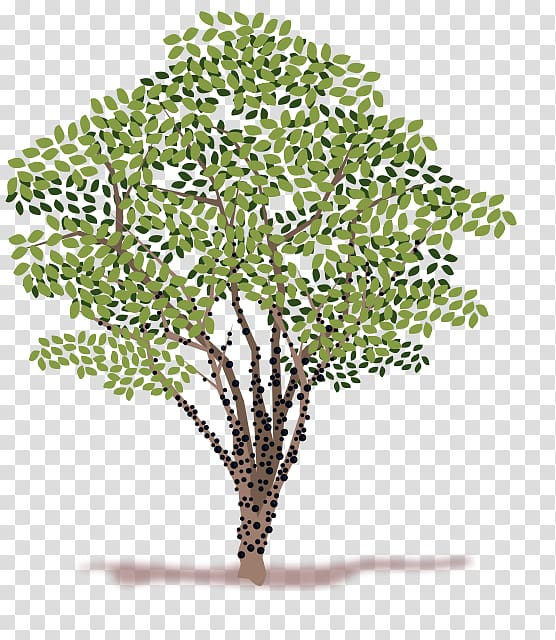 Portable Network Graphics Tree graphics, tree transparent background PNG clipart