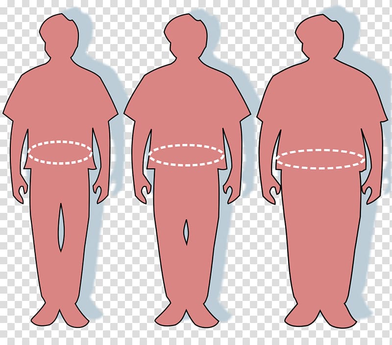 Waist Abdominal obesity Circumference Adipose tissue, fat transparent background PNG clipart