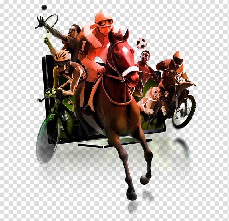 Sports betting Horse racing G.D. Chaves, Sports betting transparent background PNG clipart