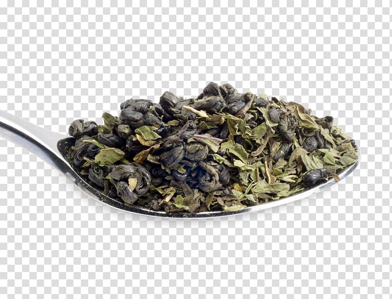 Tieguanyin Gunpowder tea Oolong Earl Grey tea Biluochun, mint leaf transparent background PNG clipart