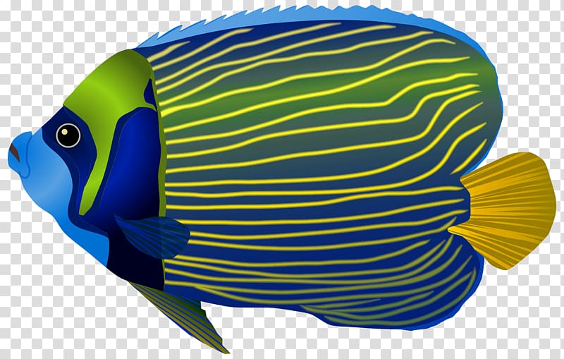 green and blue fish , Papua New Guinea Underwater Ocean Fish Sea, Blue Fish transparent background PNG clipart