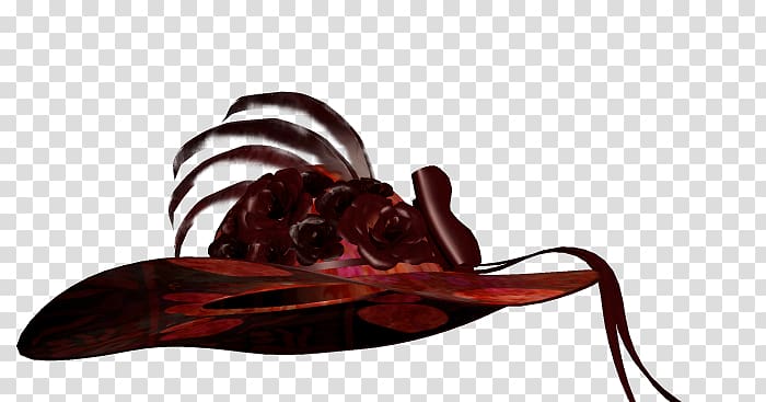 Insect Hat Maroon, gorro transparent background PNG clipart