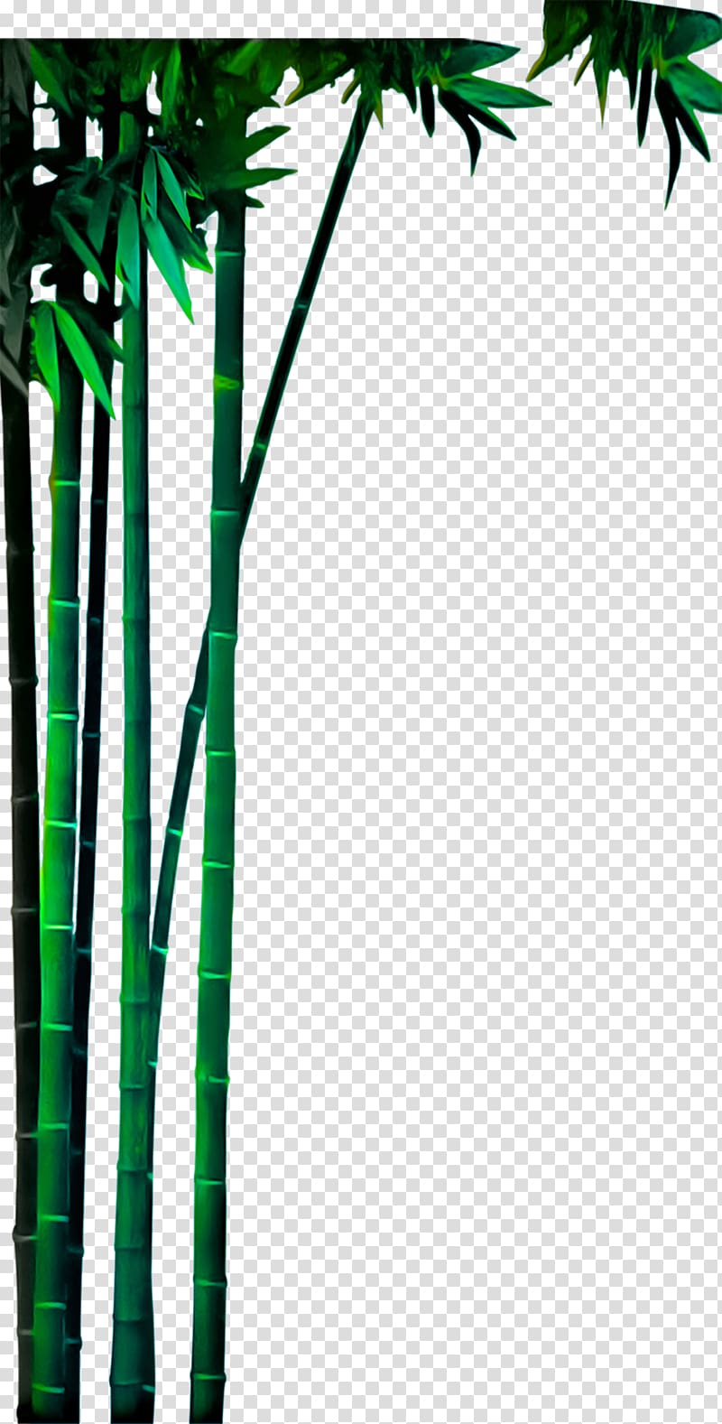 Bamboo Bamboe Green, Real green bamboo material transparent background PNG clipart