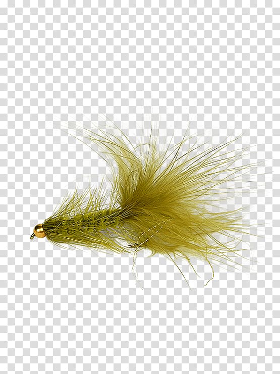 Woolly Bugger Worley-Bugger Fly Co Precision Fly Fishing, Woolly Bugger transparent background PNG clipart