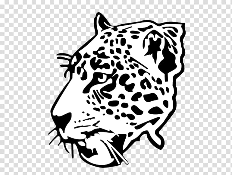 Jaguar West Florida High School Leopard Tiger Cheetah, jaguar transparent background PNG clipart