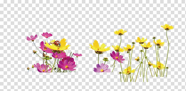 Floral design Yellow Flower, A field of flowers transparent background PNG clipart