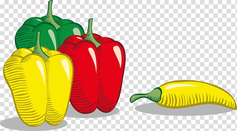 Tabasco pepper Bell pepper Cayenne pepper Vegetable, Vegetable health decoration pattern transparent background PNG clipart