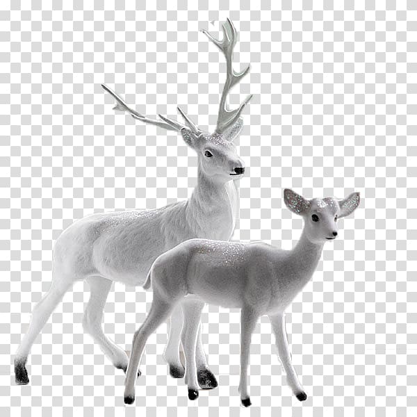 Deer La moglie ingenua e il marito malato Celestino e la famiglia Gentilissimi, White Deer transparent background PNG clipart