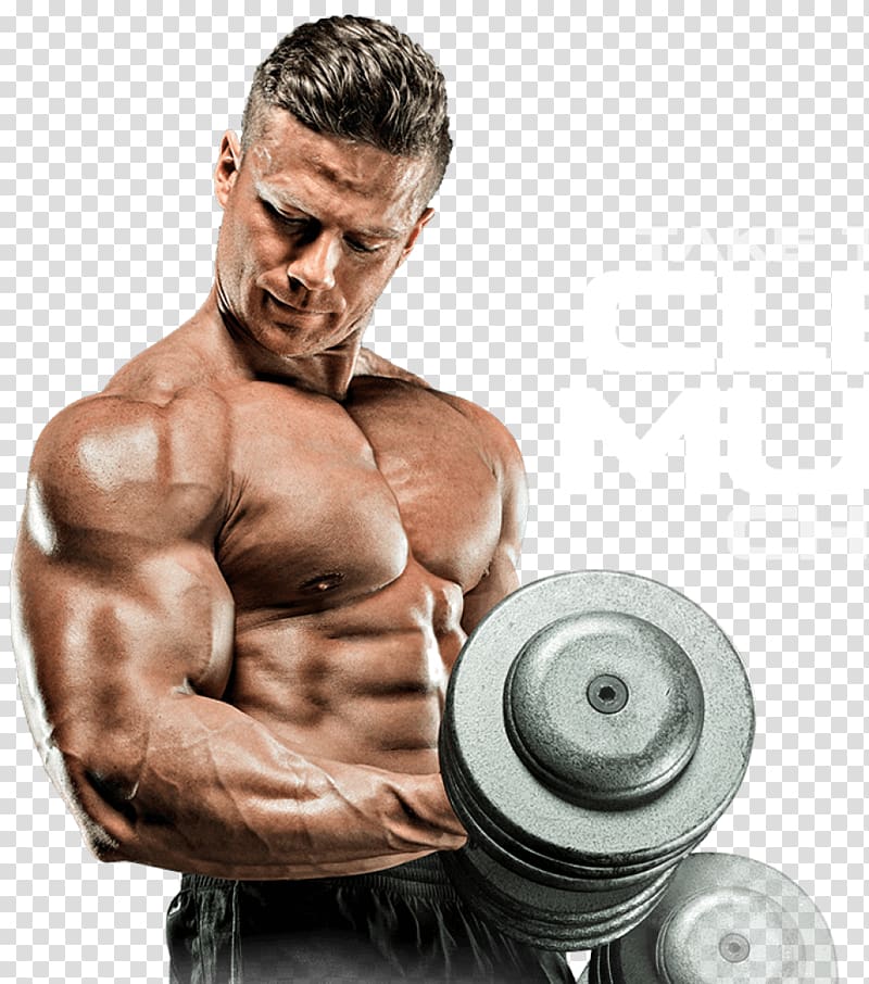 Bodybuilding transparent background PNG clipart