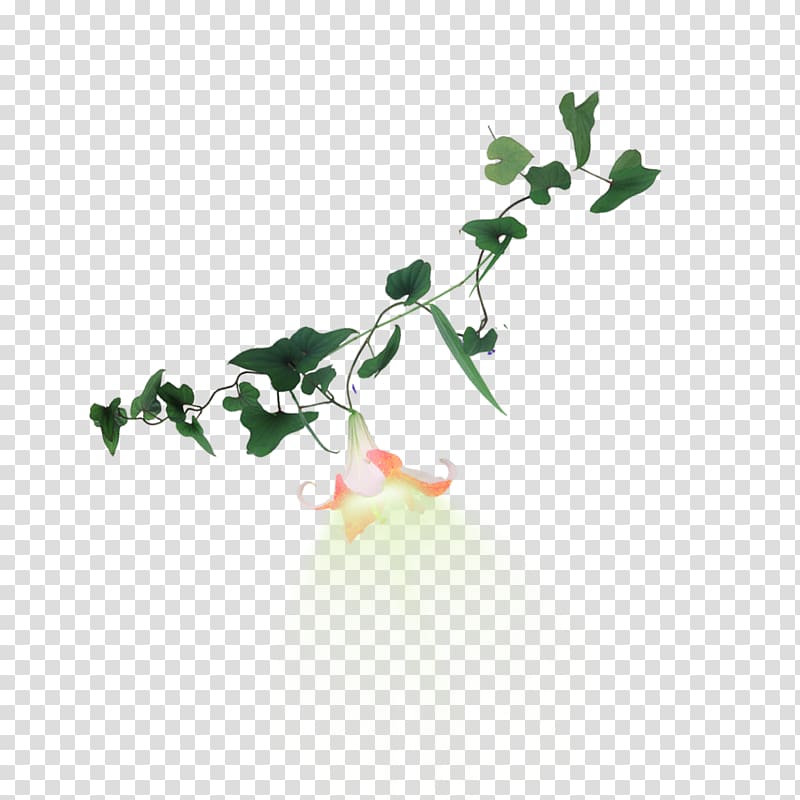 Flower, Trumpet vine flower transparent background PNG clipart