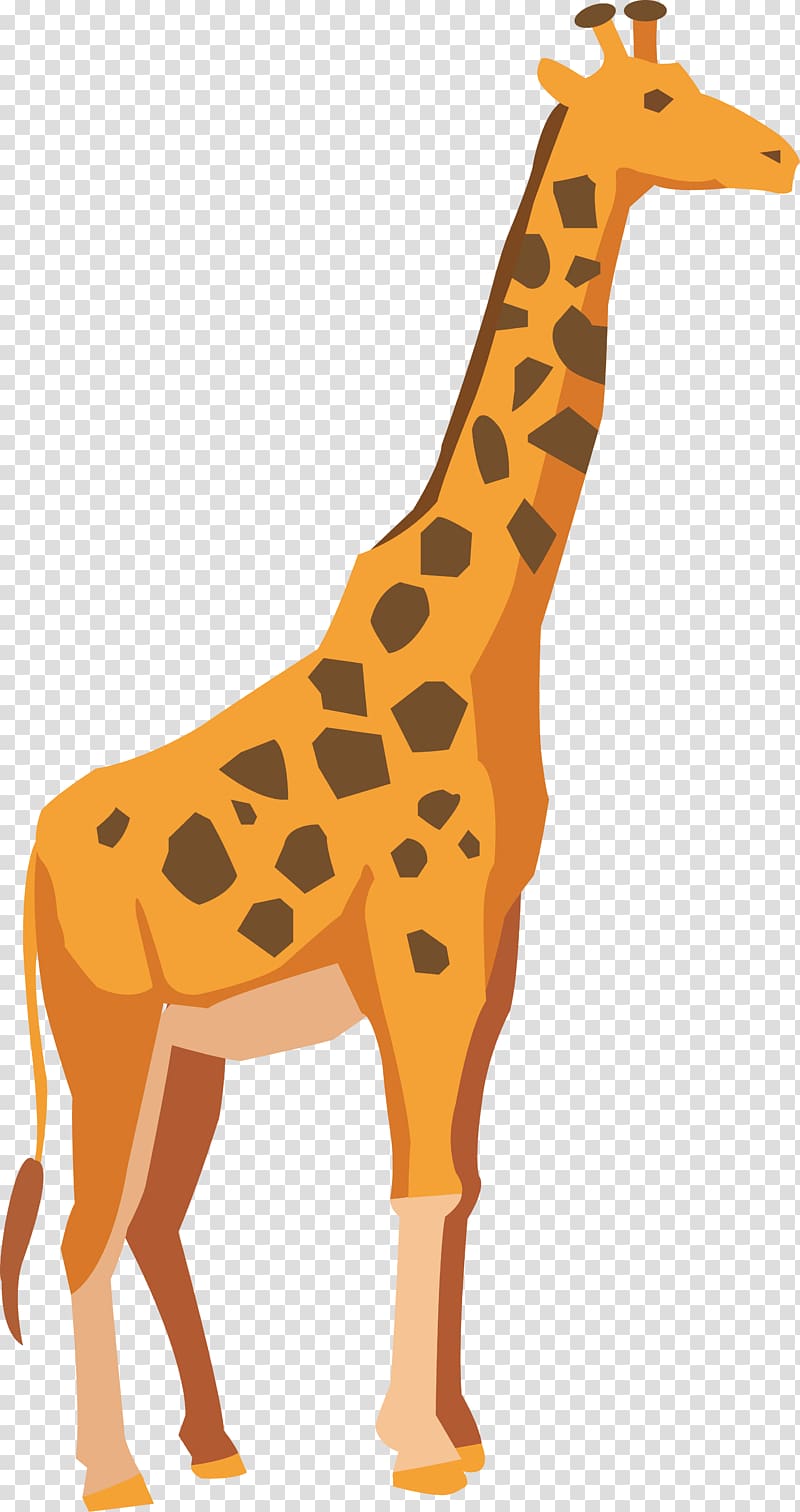 Giraffe Adobe Illustrator Drawing, cartoon giraffe transparent background PNG clipart