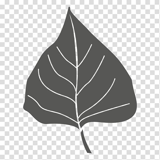 Leaf Desktop Vexel, Leaf transparent background PNG clipart