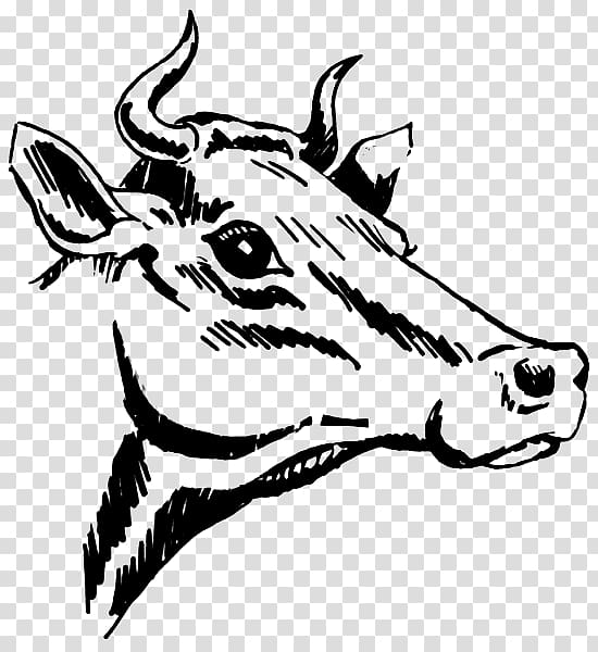 Texas Longhorn Drawing , others transparent background PNG clipart