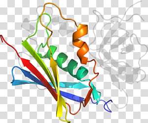 Line Point Organism , line transparent background PNG clipart thumbnail