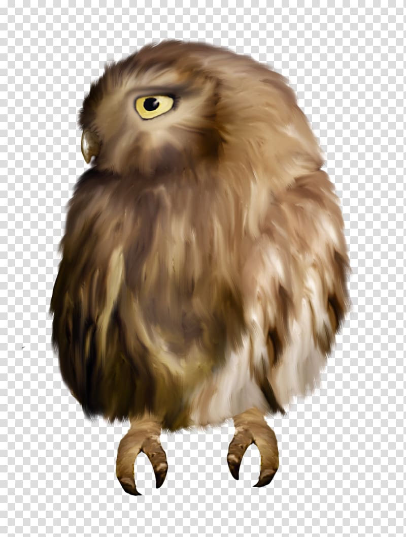 Owl Sovunya Watercolor painting , owl transparent background PNG clipart