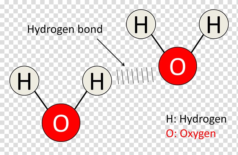 Diagram Hydrogen bond Molecule Water Chemical bond, oxygen bubble transparent background PNG clipart
