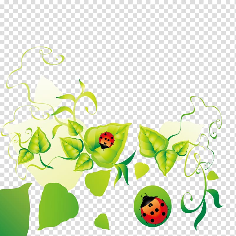 Floral design Leaf , Ladybug green leaf dew decoration borders material transparent background PNG clipart