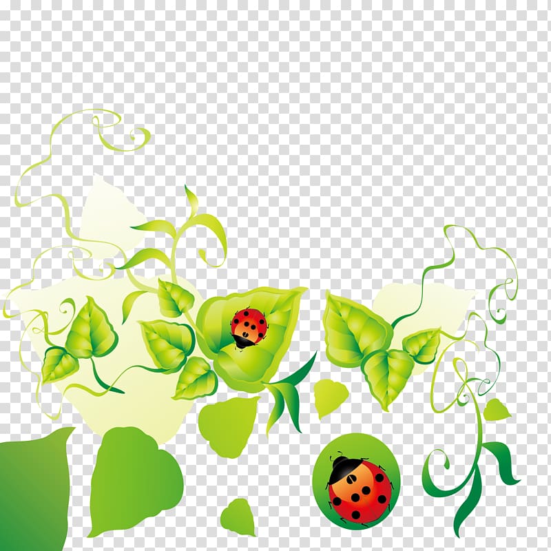 Ladybug Decorative Transparent Image​