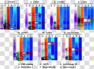 Graphic design Plastic Font, design transparent background PNG clipart thumbnail