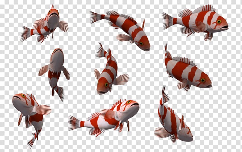 several white-and-red fish, The Legend of Zelda: Ocarina of Time 3D 3D computer graphics Fish Raymarine plc, Fish 10 transparent background PNG clipart