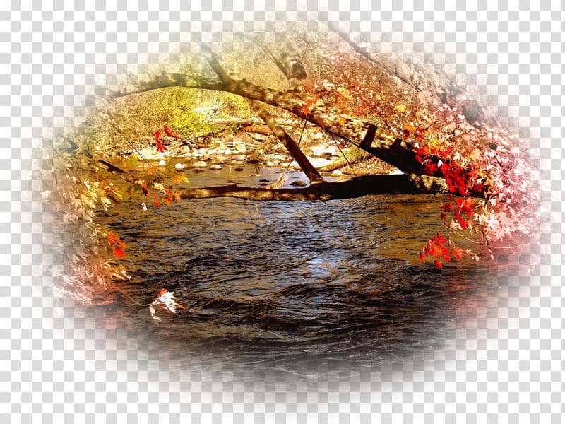 Autumn leaf color Desktop High-definition television, autumn transparent background PNG clipart