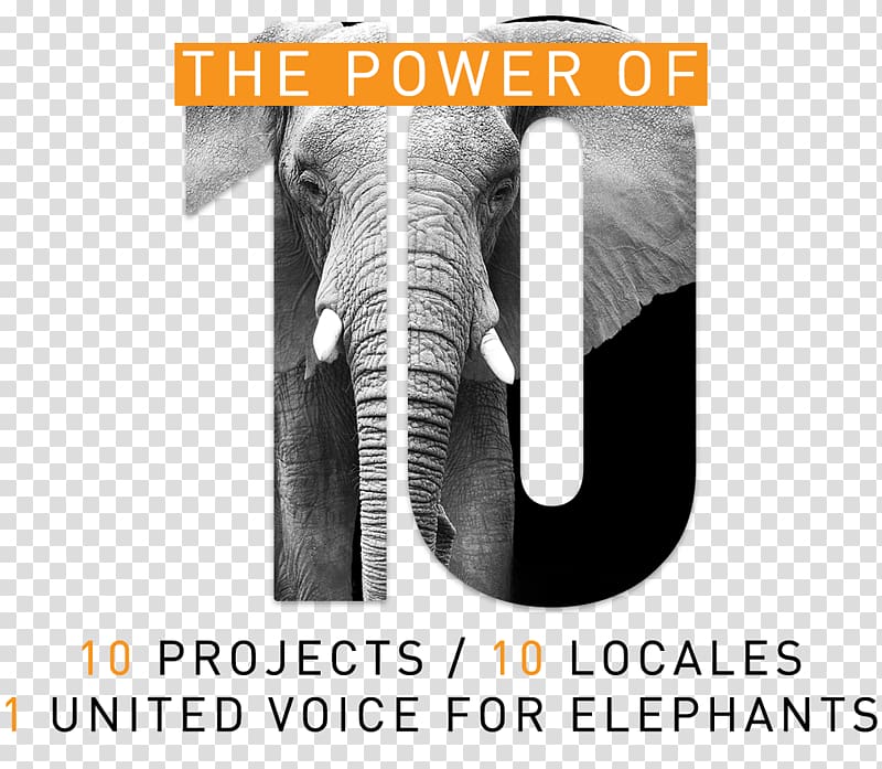 Indian elephant Elephantidae Brand The Bodhi Tree Foundation Armani, Save power transparent background PNG clipart