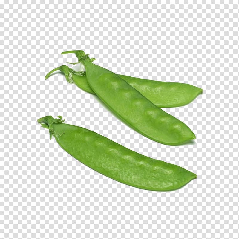 Snow pea Vegetable Ni Wo Ha, pea transparent background PNG clipart