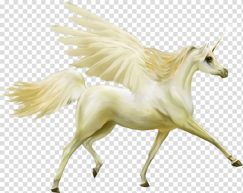walking unicorn illustration, Unicorn Pegasus Horse, Pegasus transparent background PNG clipart